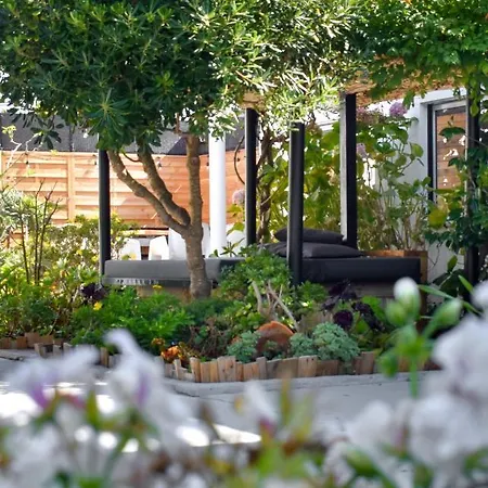Say Hello To Your Next Vacation Villa